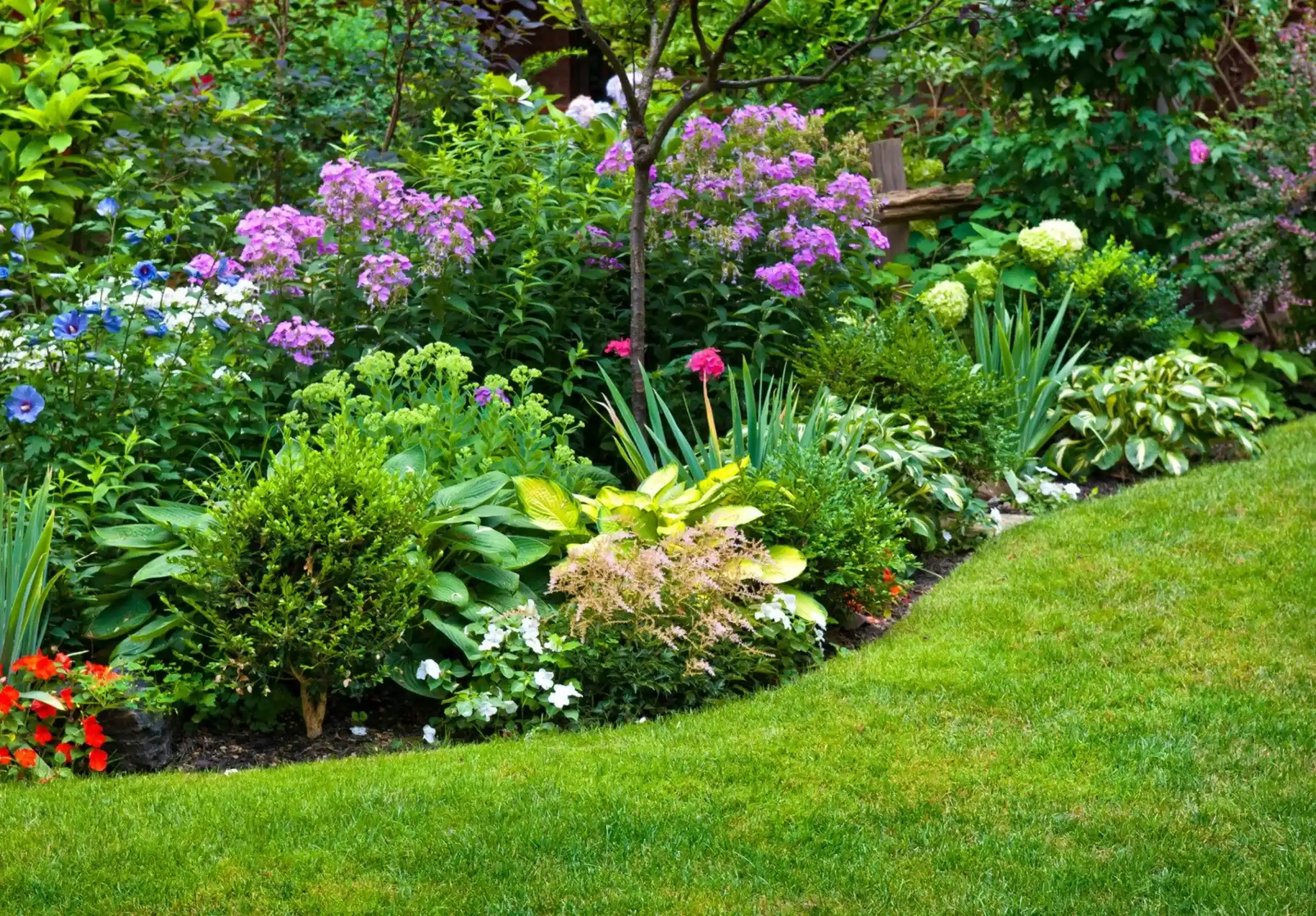 Créateur concepteur de jardin à l'arbresle