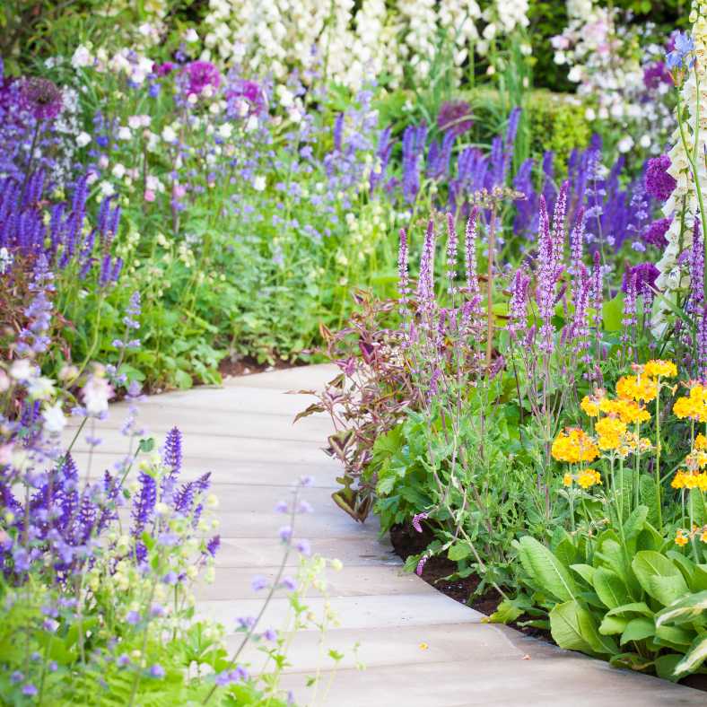création de jardin sur dommartin 69