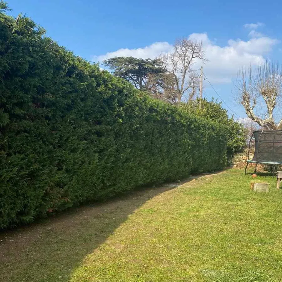 Jardinier paysagiste à Saint Pierre la Palud