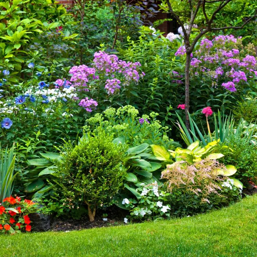 entretien jardin paysagiste ouest de lyon